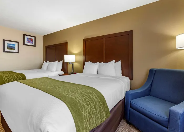 Comfort Inn & Suites Alameda At Albuquerque Balloon Fiesta Park