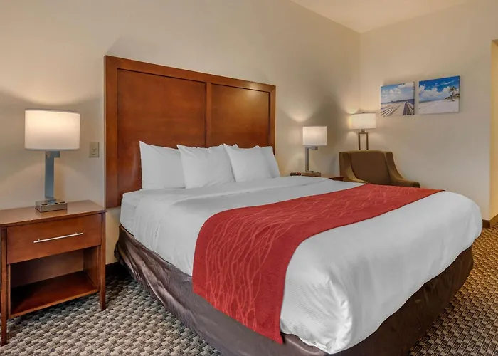Comfort Inn & Suites Fort Myers Airport
