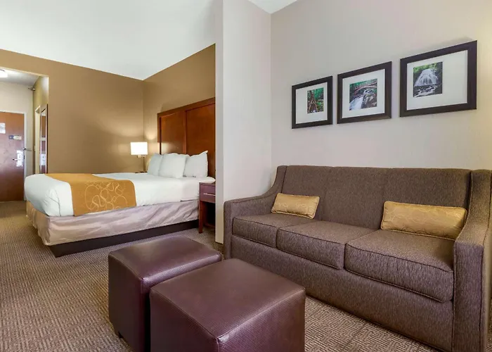 Comfort Suites Boone - University Area
