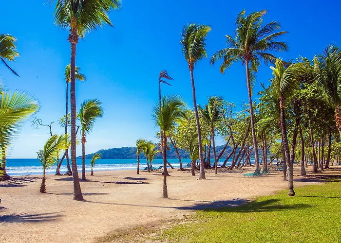 Barcelo Tambor