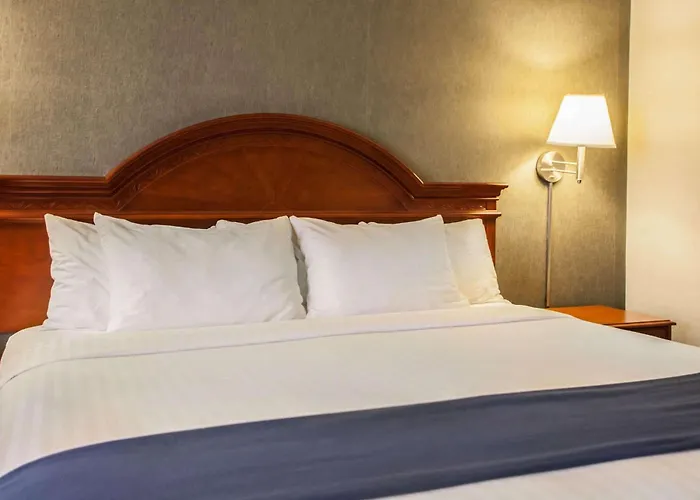 Quality Inn & Suites St Charles -West Chicago