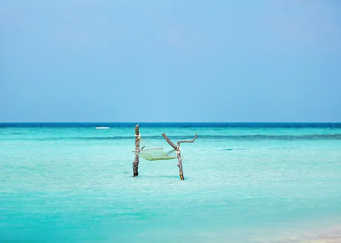 Angsana Velavaru - Part Of Banyan Group With Free Return Seaplane Transfers