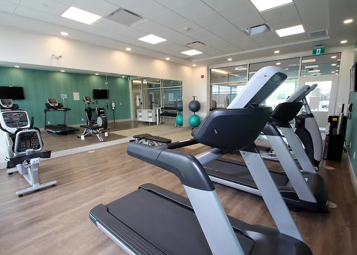 Holiday Inn Express & Suites - Collingwood