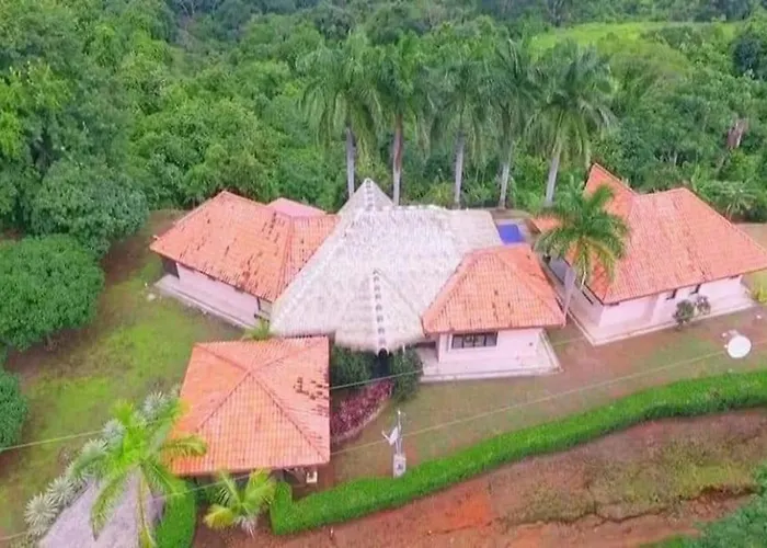 Palmetto Lodge