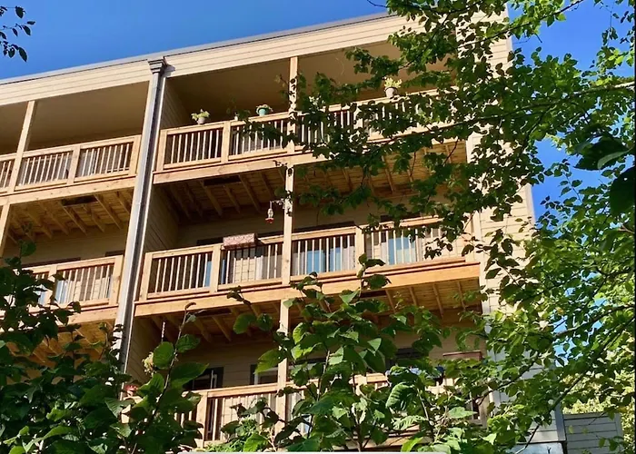 Appresski - 5 Bed Ski In Ski Out - 50 Steps To Ski Sugar Mountain Slopes