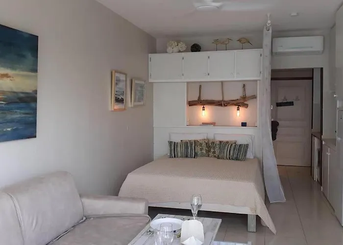 Seabird Studio