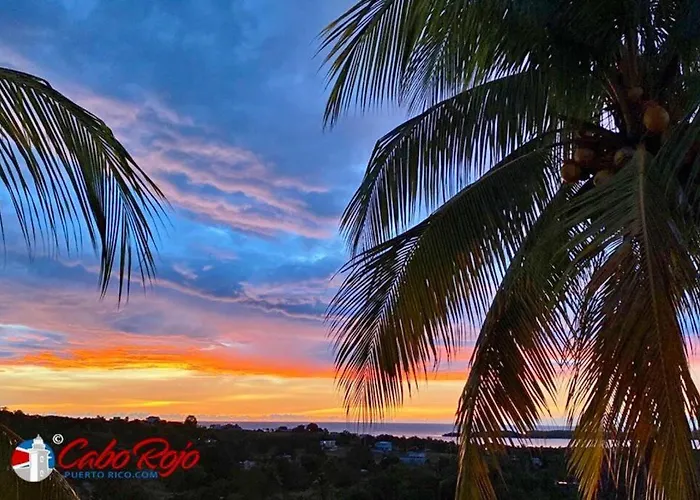 2-Br Modern Oceanfront Apt Steps From Playa Sucia
