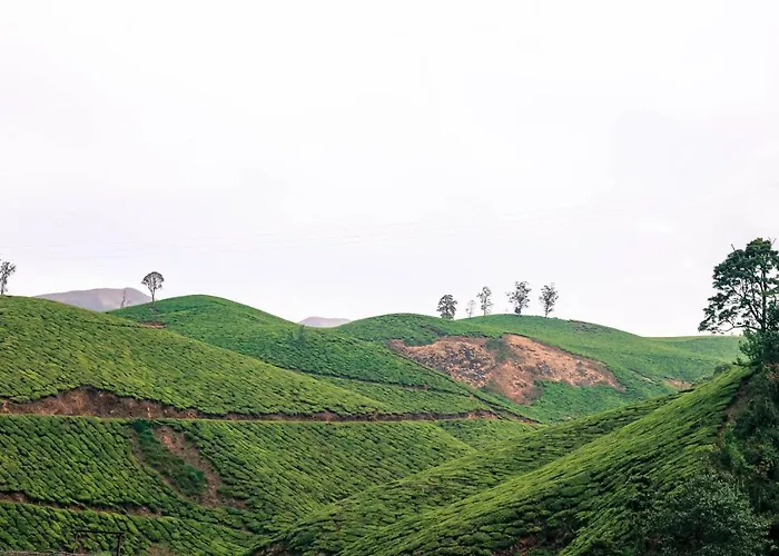 Green Garden Ayurvedic Resort & Green House