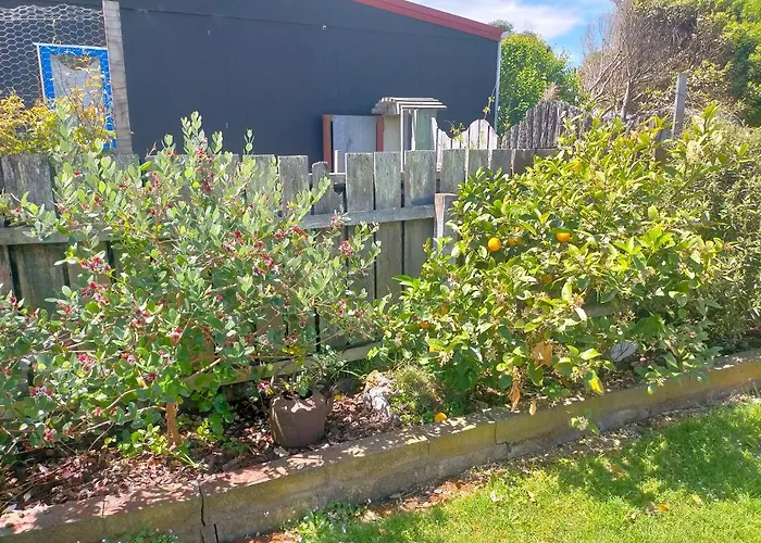 Cosy Kiwi Bach Kid And Pet Friendly Beach House