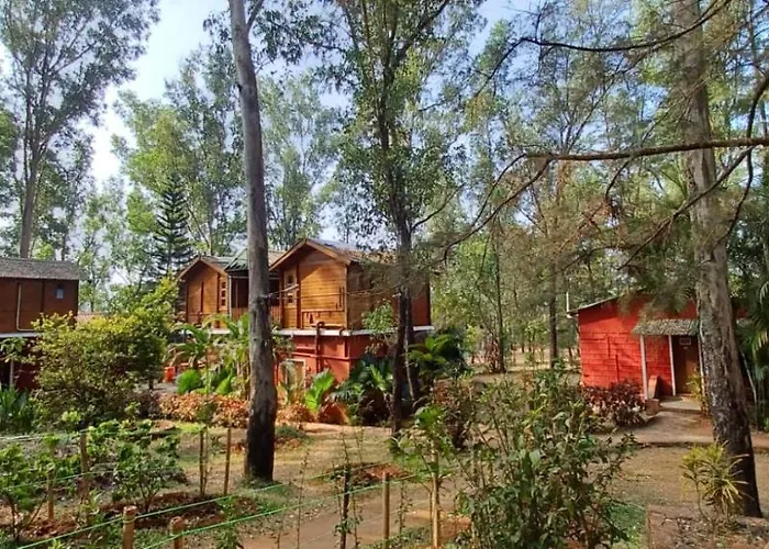 The Jungle Resort Amba