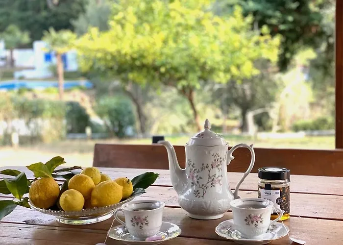 Sani Garden House