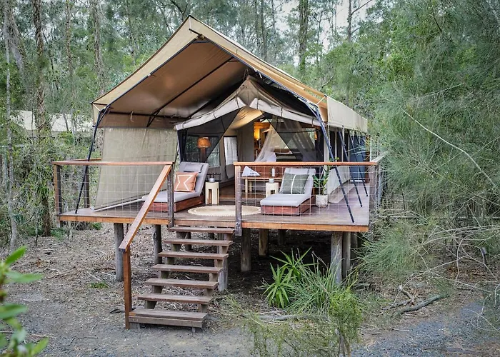 Paperbark Camp