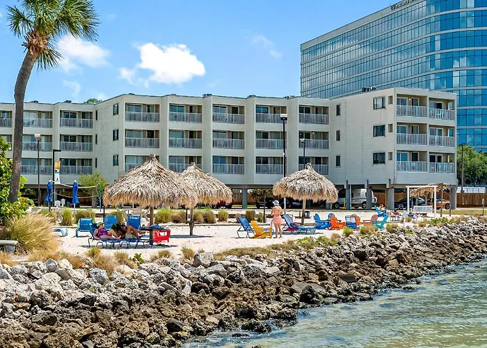 Sunset Paradise - Find Yourself In Tampa