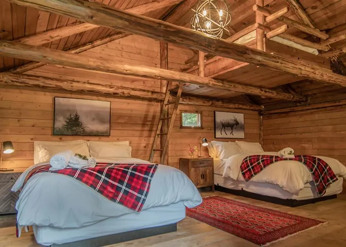 Chute Lake Lodge