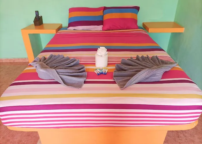 El Ultimo Maya