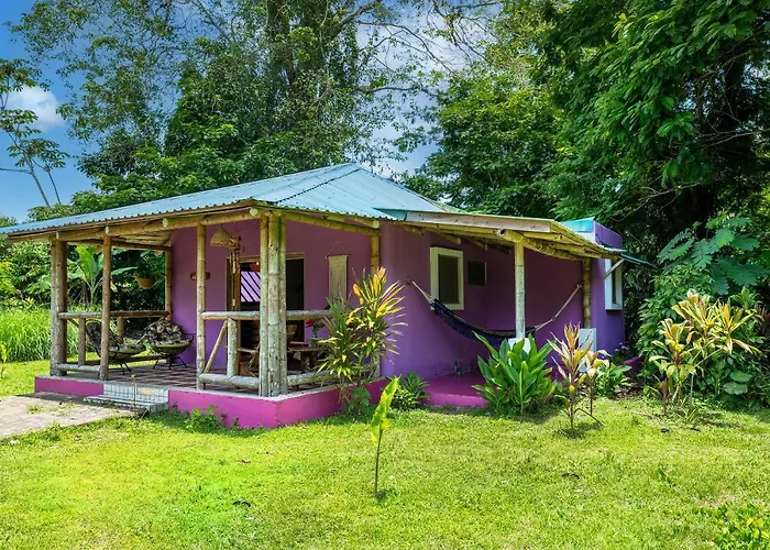 Casa Lavanda In Tropical Jungle Garden