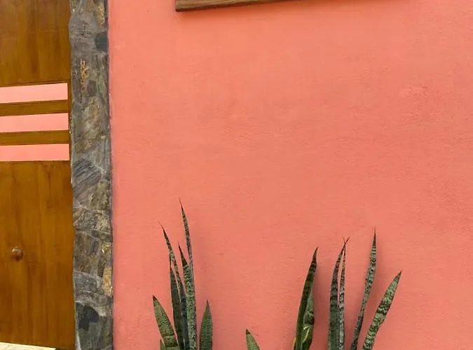 Casa Suites Minizoo