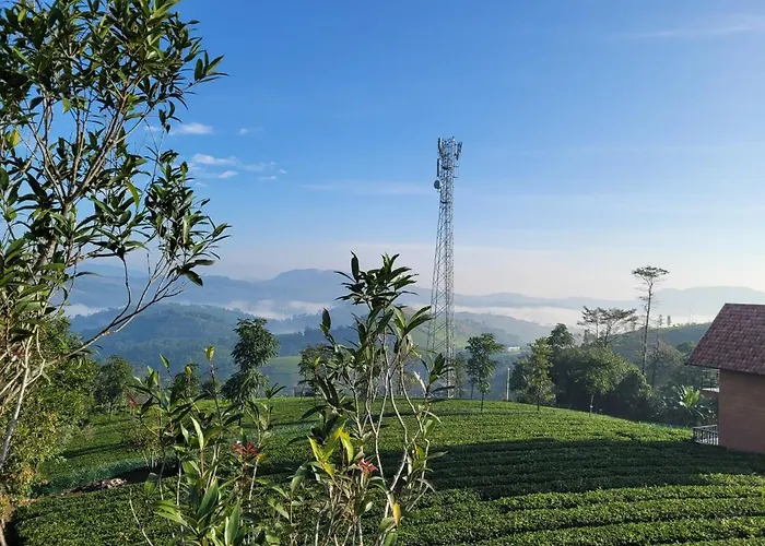 Cloud Canopy - Tea Garden Family Pool Cottage In Vagamon