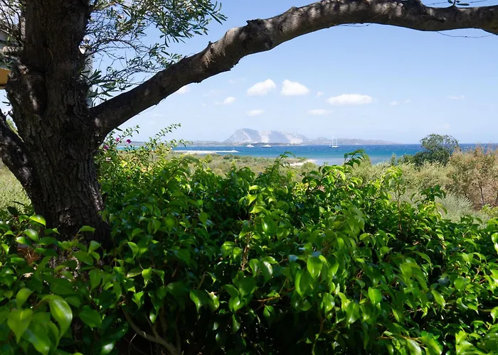 Villa Minda Lodge & View