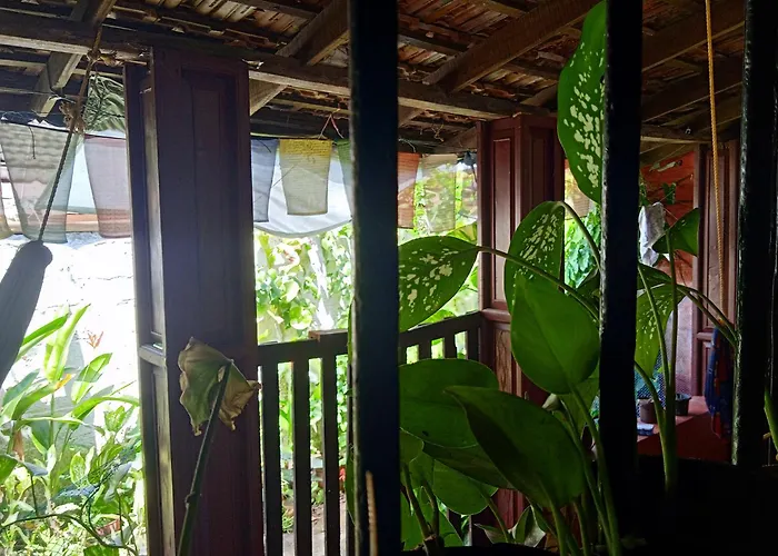 The Blues Hostel