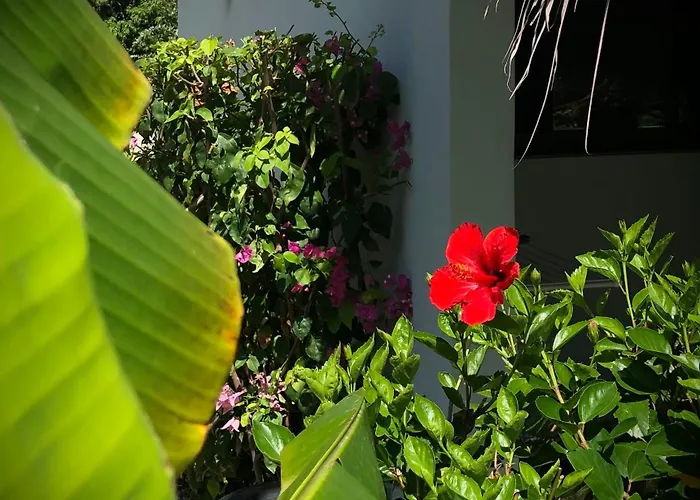 Sfeervolle Studio In Encuentro Cabarete
