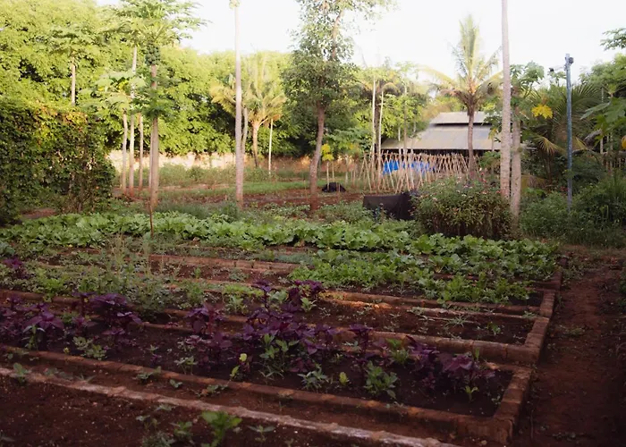 Maringi Sumba By The Sumba Hospitality Foundation