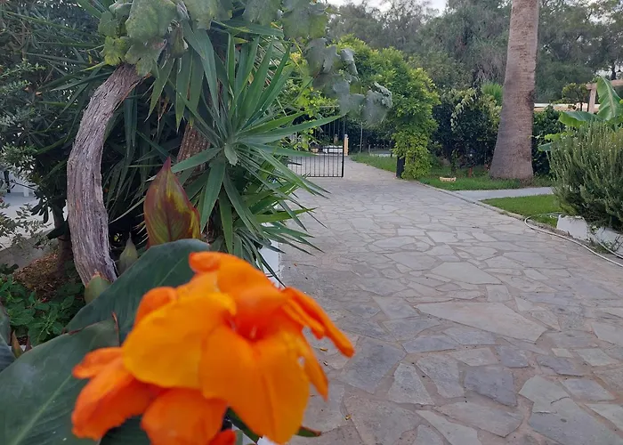 Amelia'S Garden