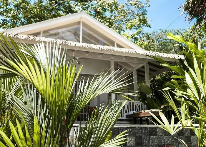 Hotel Aguas Claras Member Of The Cayuga Collection