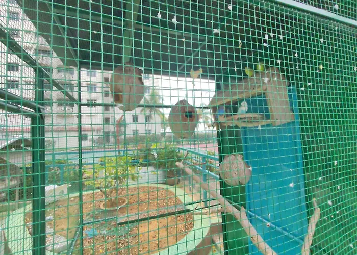3 Bedroom Seaview Condo @ Glory Beach Resort, Port Dickson