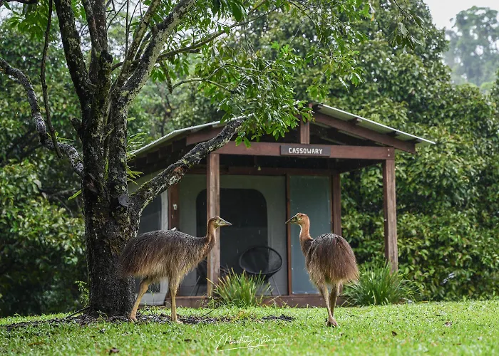 Noah Creek Eco Huts