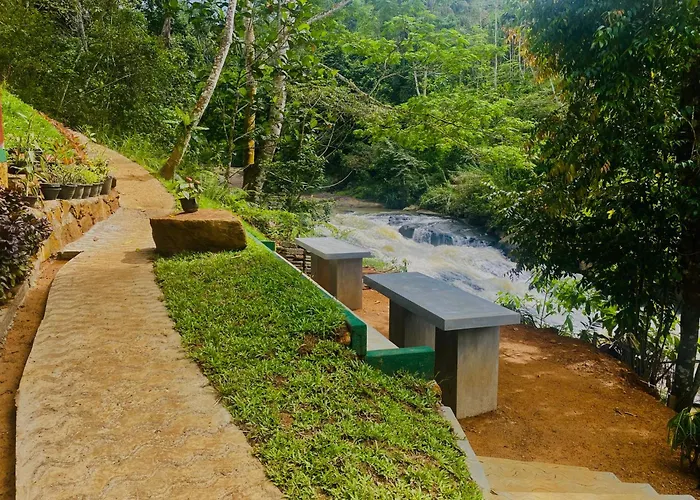 The Rainforest Hideaway