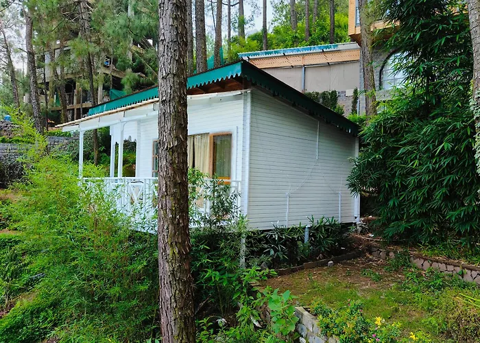 Kasauli Hills Resort