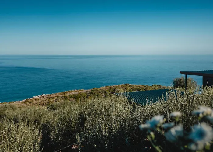 Mareblu