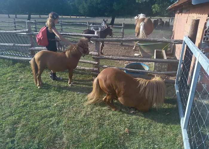 eco nature, gite à la ferme