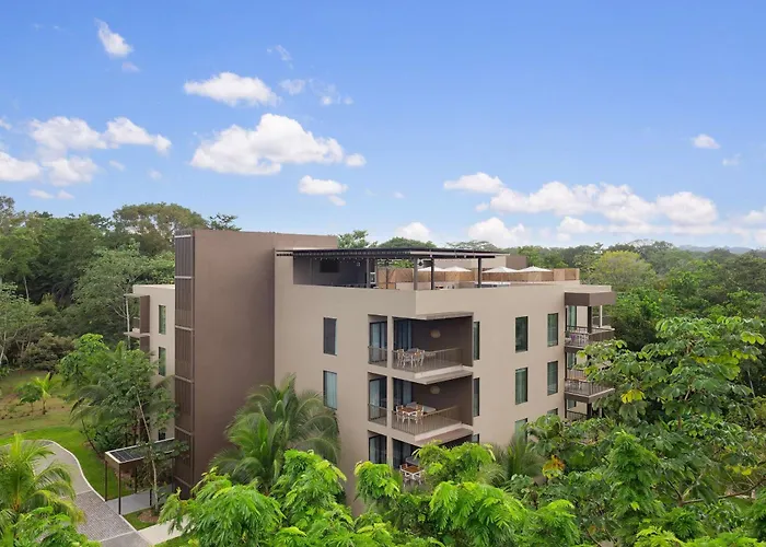 Botanika Osa Peninsula, Curio Collection By Hilton