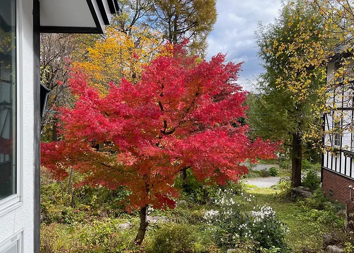 Hotel Sejour Mint In Hakuba