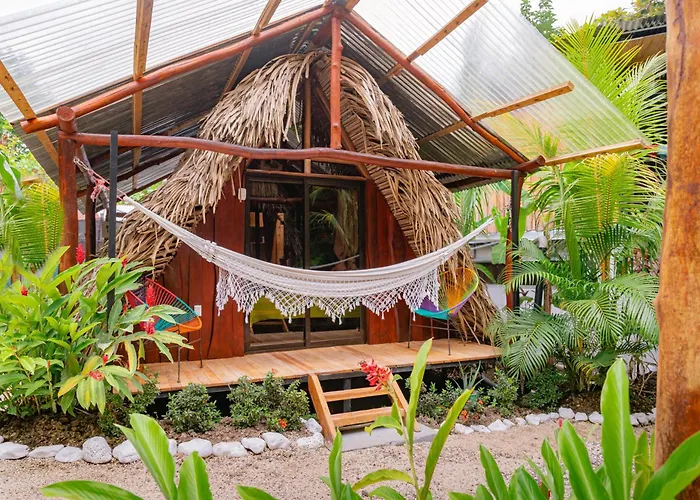 El Gato Rojas Surf Hostel