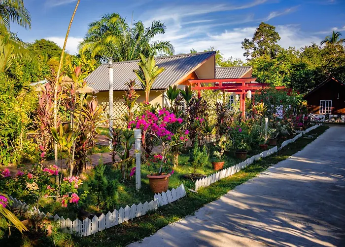 Timba Garden Free Town And Jetty Transport