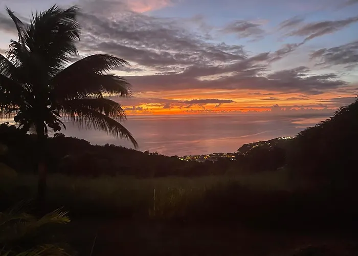 Tropicangel Ecolodge De Charme