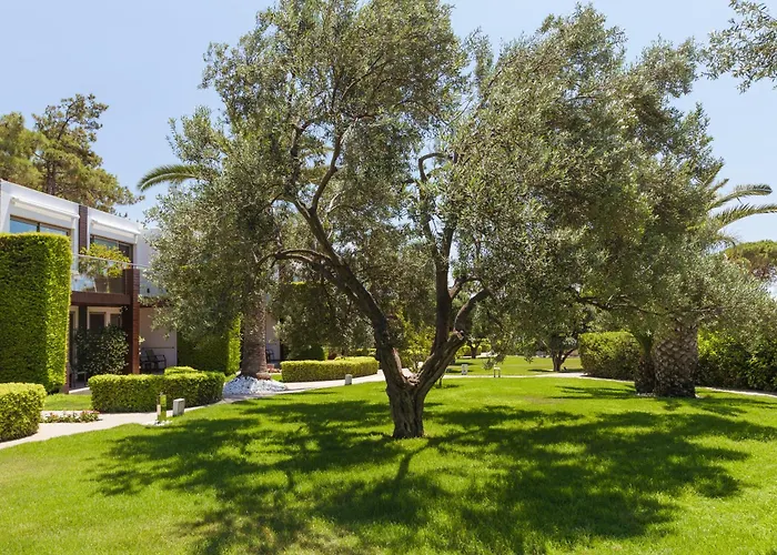 Ortunc Hotel - Cunda Island (Adults Only)