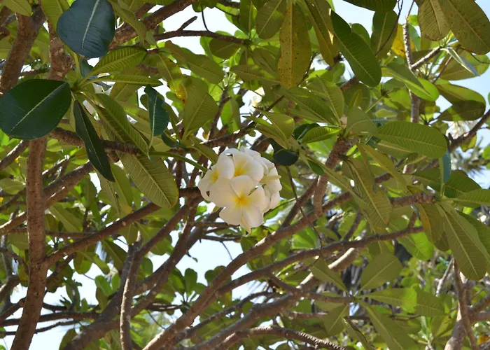 Nirukthie Beach Resort & Restaurant