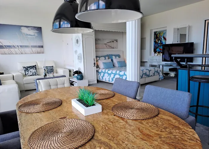 Grand loft de 60m2 très lumineux très belle vue sur mer
