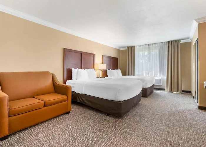 Comfort Inn & Suites Redwood Country