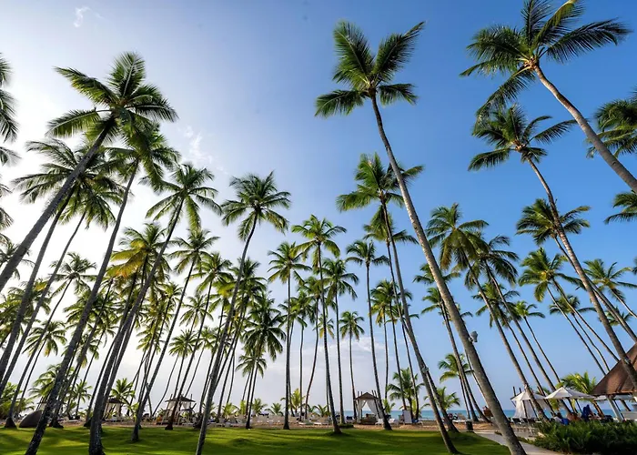 Viva V Samana By Wyndham, A Trademark Adults All Inclusive