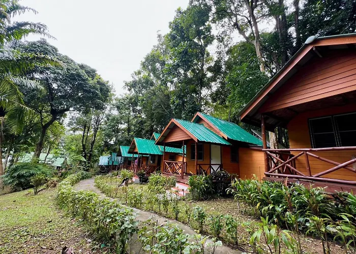 Dream Valley Resort, Tonsai Beach