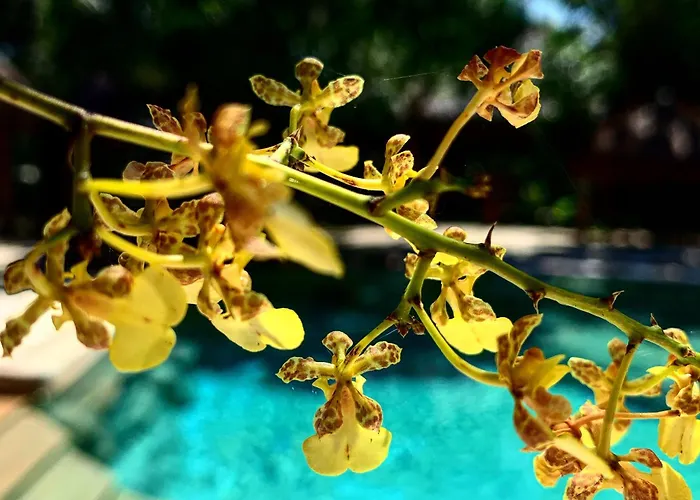 La Villa Mexicana By Diving Prestige