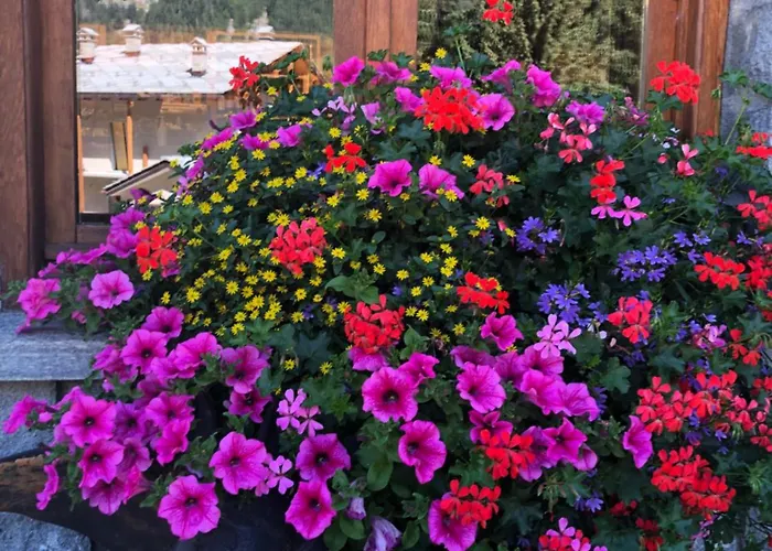 Hotel Flora Alpina