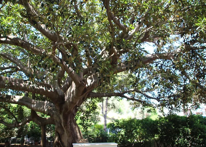 Affittacamere La Magnolia