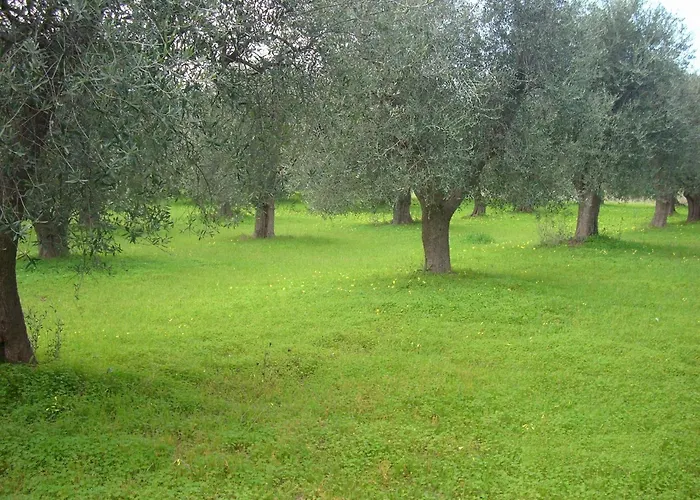 Dal Cavallaro