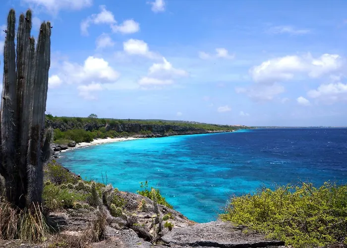 The Lodge Bonaire
